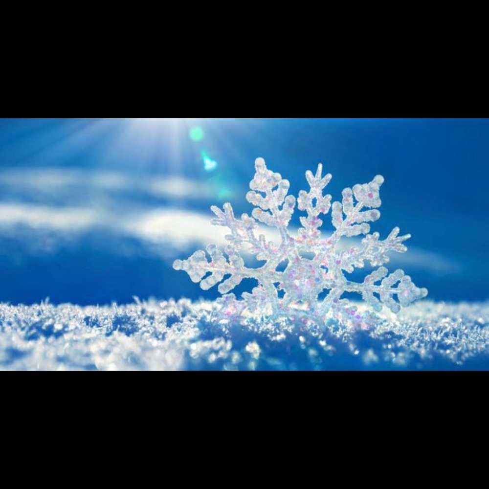 Winter ❄️ is upon us 🥶